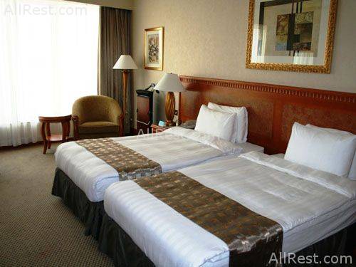 Millennium Hotel 6